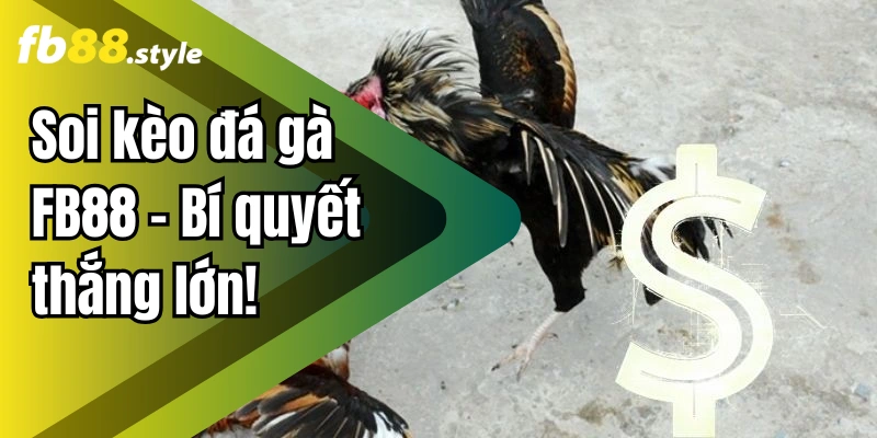Soi kèo đá gà FB88 – Bí quyết thắng lớn!